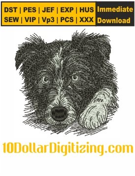 Collie-Dog-Embroidery-Design,-Dog-Face-Embroidery-Pattern,-Collie-Embroidery-Files-Instant-Download