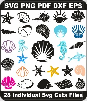 Seashell-Svg-Bundle,-Sea-Shell-Png-Vector,-Shell-Svg-Cut-File-For-Cricut-Silhouette-Printable-Files